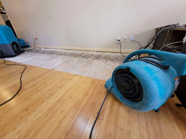 Professional Flood Damage Cleanup technician working in Lyons, IL